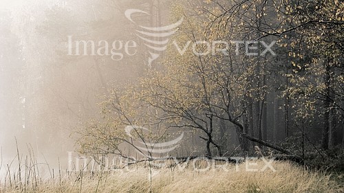 Nature / landscape royalty free stock image #163129414