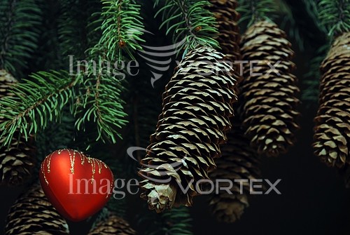 Holiday / gift royalty free stock image #164430768