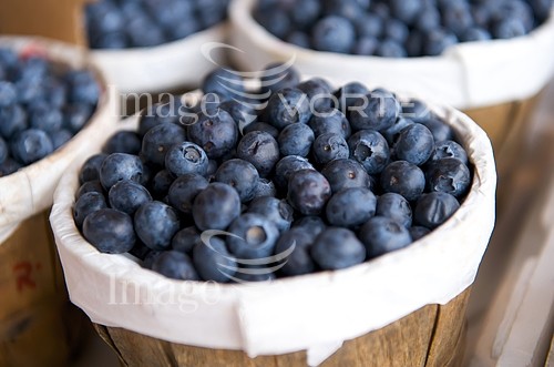 Food / drink royalty free stock image #166614309