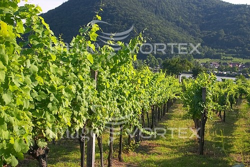 Industry / agriculture royalty free stock image #166541112