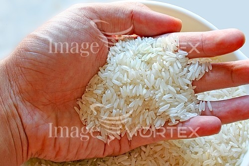 Food / drink royalty free stock image #173392464