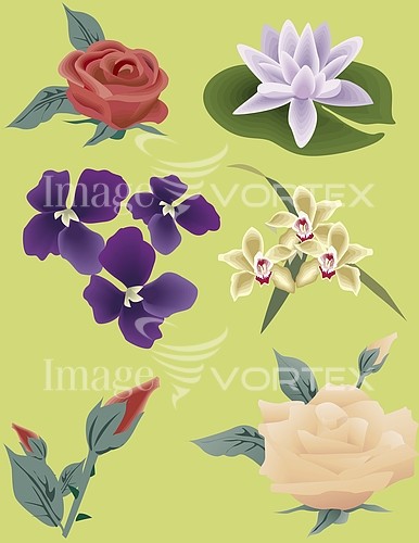 Flower royalty free stock image #175668810