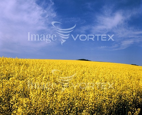 Industry / agriculture royalty free stock image #176162779