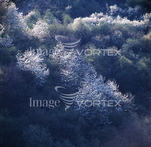 Nature / landscape royalty free stock image #176035871