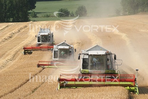 Industry / agriculture royalty free stock image #177307781