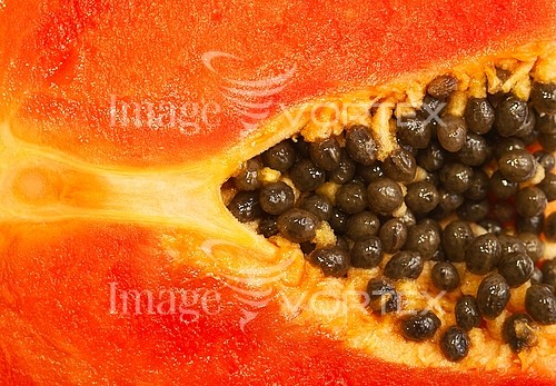 Food / drink royalty free stock image #177840095