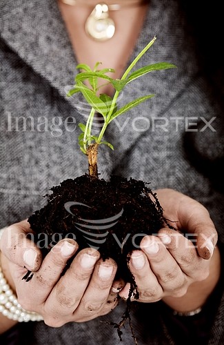 Industry / agriculture royalty free stock image #180841683