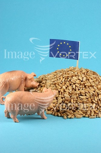 Industry / agriculture royalty free stock image #180905072