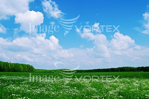Nature / landscape royalty free stock image #181441776