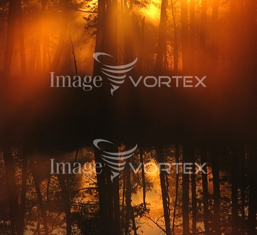 Nature / landscape royalty free stock image #181406847