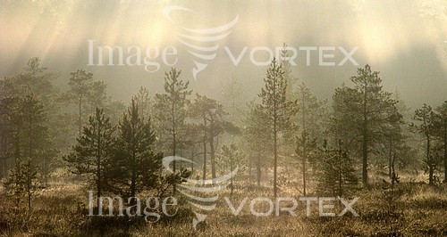 Nature / landscape royalty free stock image #181442348