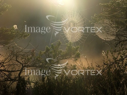 Nature / landscape royalty free stock image #181475395