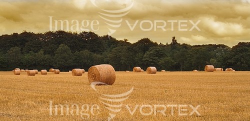 Industry / agriculture royalty free stock image #184314378