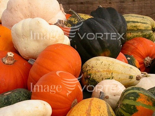 Food / drink royalty free stock image #184977617
