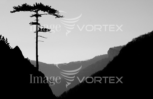 Nature / landscape royalty free stock image #185819600