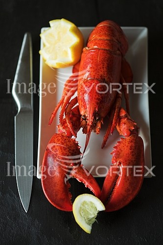 Food / drink royalty free stock image #186932261