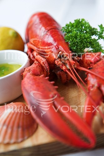 Food / drink royalty free stock image #186883861