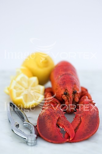 Food / drink royalty free stock image #186913814