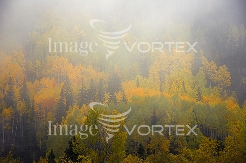 Nature / landscape royalty free stock image #190298342