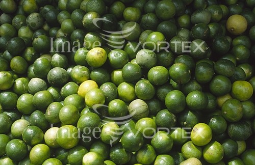 Food / drink royalty free stock image #191176343