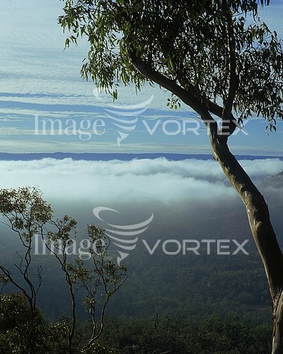 Nature / landscape royalty free stock image #194223451