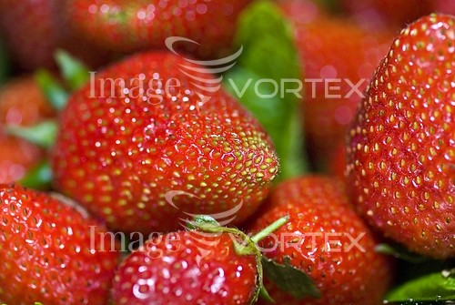 Food / drink royalty free stock image #194283983