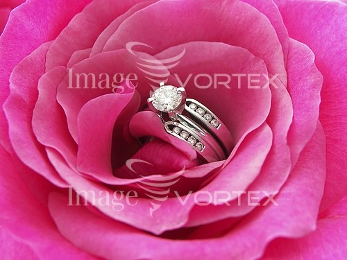 Jewelry royalty free stock image #196542164