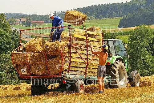 Industry / agriculture royalty free stock image #198954481