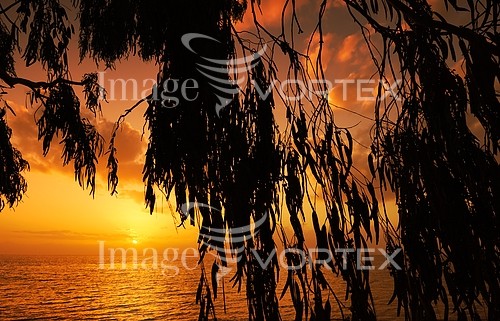 Sunset / sunrise royalty free stock image #198095047