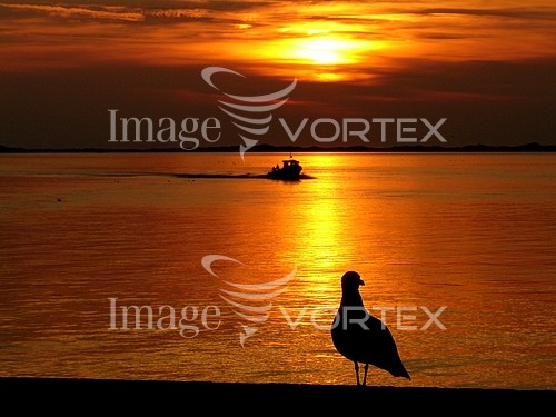 Sunset / sunrise royalty free stock image #200266377