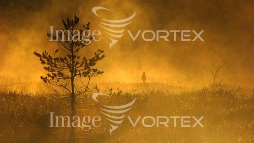 Nature / landscape royalty free stock image #202569251