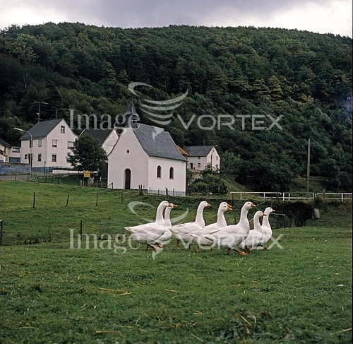 Industry / agriculture royalty free stock image #202129292