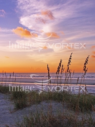 Sunset / sunrise royalty free stock image #203256190