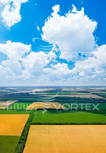 Industry / agriculture royalty free stock image #204659615