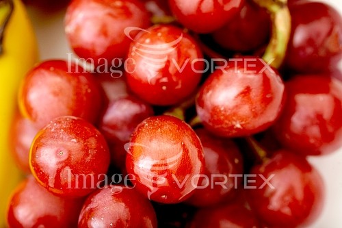 Food / drink royalty free stock image #204396631
