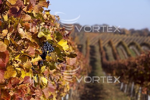 Industry / agriculture royalty free stock image #206930180