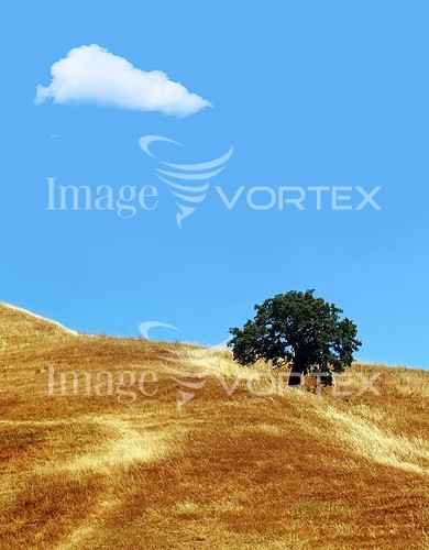 Nature / landscape royalty free stock image #207551801