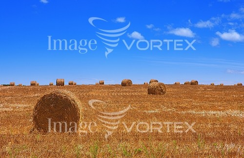 Industry / agriculture royalty free stock image #212688508