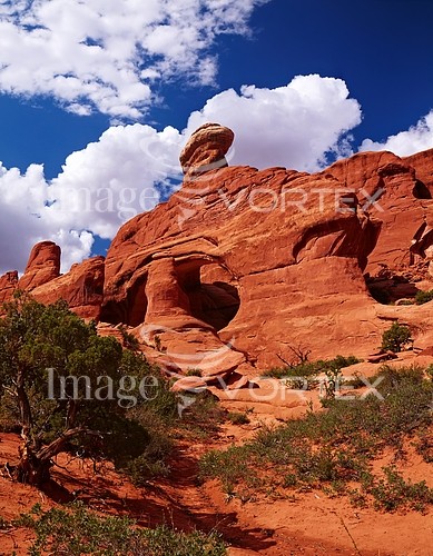 Nature / landscape royalty free stock image #214502035