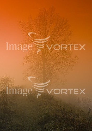 Nature / landscape royalty free stock image #215299704