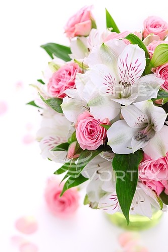 Flower royalty free stock image #217073537