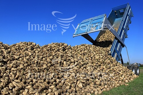 Industry / agriculture royalty free stock image #217454898