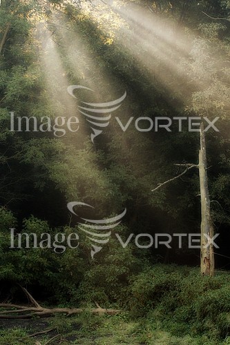 Nature / landscape royalty free stock image #217467444