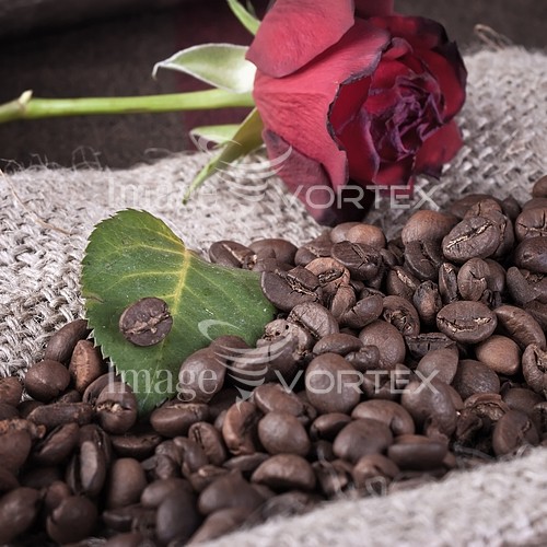 Food / drink royalty free stock image #217691714