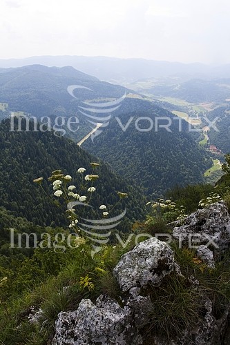 Nature / landscape royalty free stock image #219638422