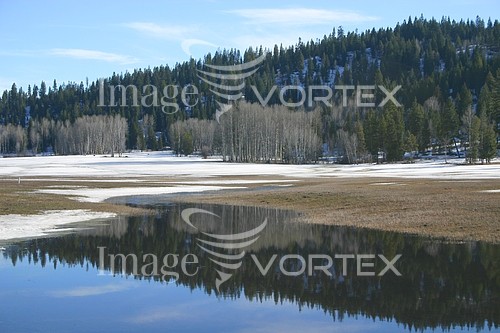 Nature / landscape royalty free stock image #219617541