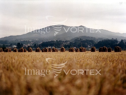 Industry / agriculture royalty free stock image #221694988