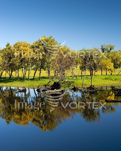 Nature / landscape royalty free stock image #223711432