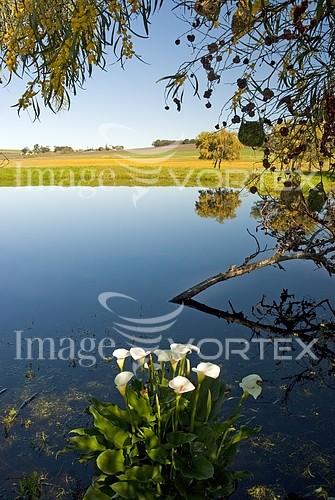 Nature / landscape royalty free stock image #223702843