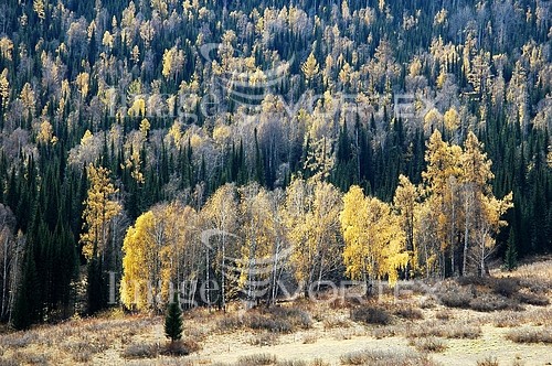 Nature / landscape royalty free stock image #230030460